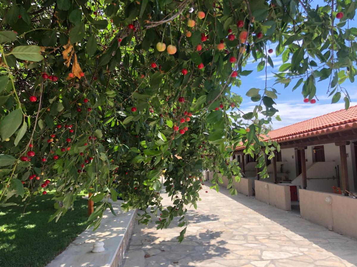 Gregory'S Village بلاتي المظهر الخارجي الصورة